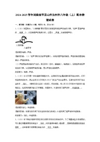 河南省平顶山市汝州市2024-2025学年八年级上学期期末物理试卷