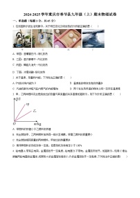 重庆市奉节县2024-2025学年九年级上学期期末考试物理试题（原卷版+解析版）