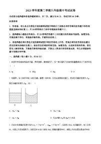 广州市执信中学2023-2024学年八年级下学期期中物理试题（含答案）
