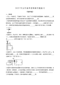 苏科版2025年九年级中考物理专题练习——电和磁（附答案）