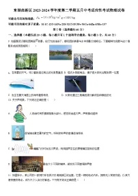 东湖高新区2023-2024学年下学期五调九年级物理试题（word版含答案）