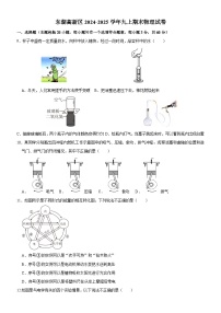 东湖高新区2024-2025学年上学期元调九年级物理试题（word版含标答）