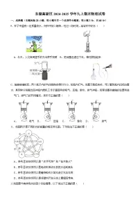 东湖高新区2024-2025学年上学期元调九年级物理试题（word版含标答）