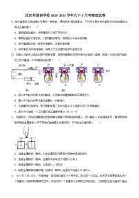 武汉外校2023-2024学年度下学期3月学情调研九年级物理试题（word版含答案）