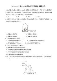 武汉市部分学校2024-2025学年上学期期末模拟八年级物理试卷（word版含答案）