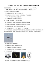 东西湖区2024-2025学年上学期期中九年级物理试题（word版含答案）
