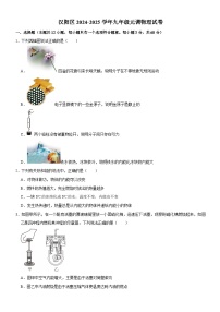 汉阳区2024-2025学年上学期元调九年级物理试题（word版含标答）
