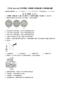 江汉区2024-2025学年上学期期中九年级物理试题（word版含答案）