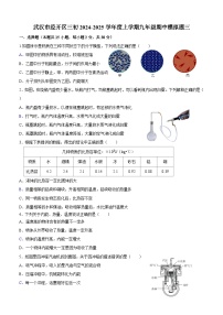 武汉经开区三初中2024-2025学年上学期期中模拟九年级物理试题（word版含答案）