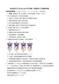 武汉经开区三中2024-2025上学期九年级元调模拟物理试题（word版含答案）