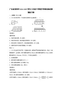 2024-2025学年广东省深圳市八年级下学期开学适应性模拟测试练习卷物理试卷（解析版）
