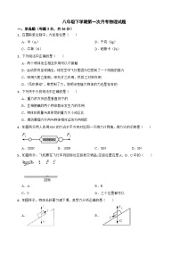 湖南省郴州市2025年八年级下学期第一次月考物理试题含答案