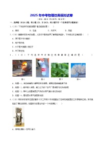 2025年中考物理仿真模拟试卷（含答案解析）