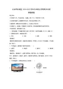 2024~2025学年北京市东城区九年级上学期期末考试物理试卷（解析版）