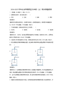 2024~2025学年北京市朝阳区九年级上学期期末物理试卷（解析版）
