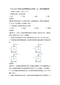 2024~2025学年北京市朝阳区九年级上学期期末物理试卷（解析版）