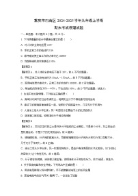 2024~2025学年重庆市巴南区九年级上学期期末物理试卷（解析版）