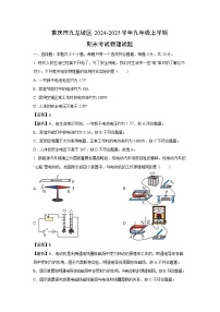 2024~2025学年重庆市九龙坡区九年级上学期期末物理试卷（解析版）