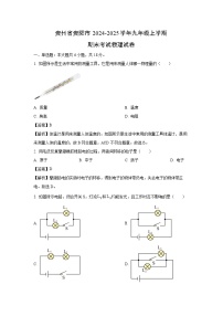 2024~2025学年贵州省贵阳市九年级上学期期末考试物理试卷（解析版）
