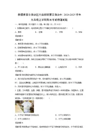2024~2025学年新疆维吾尔自治区巴音郭楞蒙古自治州九年级上学期期末考试物理试卷（解析版）