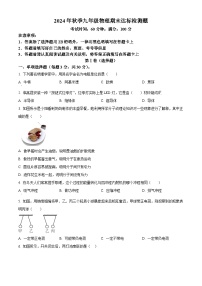 海南省临高县2024-2025学年九年级上学期期末考试物理试题（原卷版+解析版）