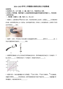 河南省平顶山市鲁山县2024-2025学年九年级上学期期末考试物理试题（原卷版+解析版）