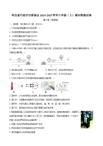 河北省石家庄市桥西区2024-2025学年八年级（上）期末物理试卷【含解析】