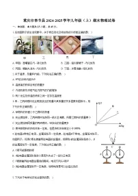 重庆市奉节县2024-2025学年九年级（上）期末物理试卷【含解析】