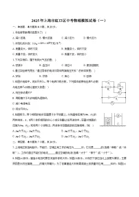 2025年上海市虹口区中考物理模拟试卷（一）