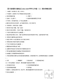 四川省绵阳市游仙区2024-2025学年九年级（上）期末物理试卷