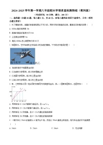 河北省保定市清苑区2024-2025学年八年级上学期期末考试物理试题（原卷版+解析版）