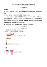 四川省成都市高新区2024-2025学年九年级上学期期末考试物理试题（原卷版+解析版）