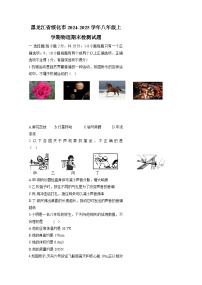 黑龙江省绥化市2024-2025学年八年级上册物理期末检测试题（附答案）