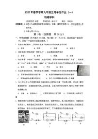 广西南宁市天桃实验学校2024-2025学年九年级下学期3月单元作业（一） 物理试题