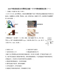 陕西省西安市雁塔区高新一中2025年中考 物理模拟试卷（一）普通用卷（含解析）