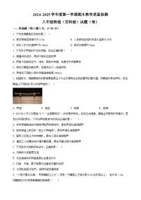 陕西省汉中市汉台区2024-2025学年八年级上学期期末物理试题（原卷版+解析版）