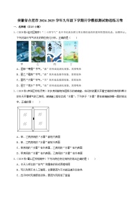 安徽省合肥市2024-2025学年九年级下学期开学适应性模拟测试 物理练习卷1（含解析）