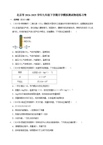 北京市2024-2025学年九年级下学期开学适应性模拟测试 物理练习卷（含解析）
