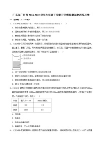 广东省广州市2024-2025学年九年级下学期开学适应性模拟测试 物理练习卷（含解析）