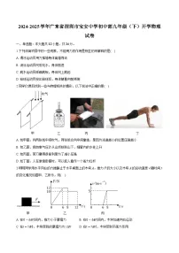 广东省深圳市宝安中学初中部2024-2025学年九年级下学期开学考试 物理试题（含解析）