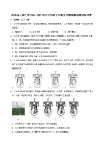 河北省石家庄市2024-2025学年九年级下学期开学适应性模拟测试 物理练习卷（含解析）