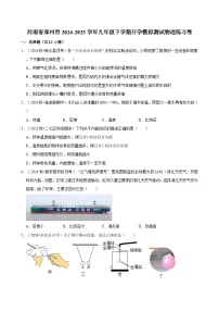 河南省郑州市2024-2025学年九年级下学期开学适应性模拟测试 物理练习卷（含解析）