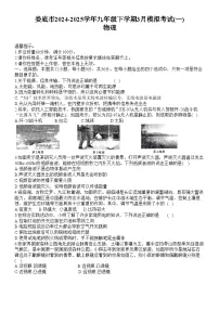 湖南省娄底市涟源市2024-2025学年九年级下学期3月月考 物理试题
