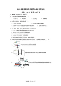 江苏省盐城市盐城经济技术开发区部分学校2024-2025学年九年级下学期3月月考 物理试题（pdf版）