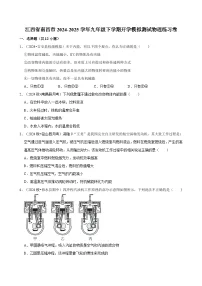 江西省南昌市2024-2025学年九年级下学期开学适应性模拟测试 物理练习卷（含解析）