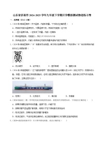 山东省济南市2024-2025学年九年级下学期开学适应性模拟测试 物理练习卷1（含解析）