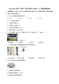 广东省广州市天河区2024-2025学年八年级上学期期末物理试卷