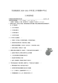 湖北省武汉市东湖高新区2020-2021学年度第一学期期中考试九年级物理试卷（word版含答案）