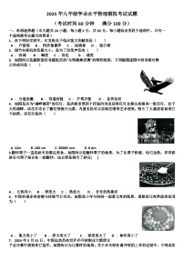 2025年九年级下学期物理模拟考试试题(适用沪科版)（含答案）