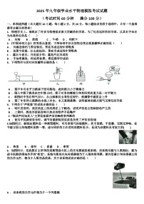 2025年九年级下学期物理模拟考试试题(适用沪科版)（含答案）